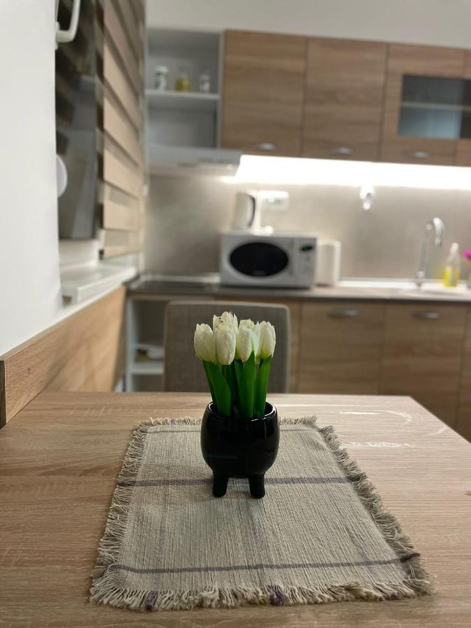 Apartman Mik 노비사드 외부 사진