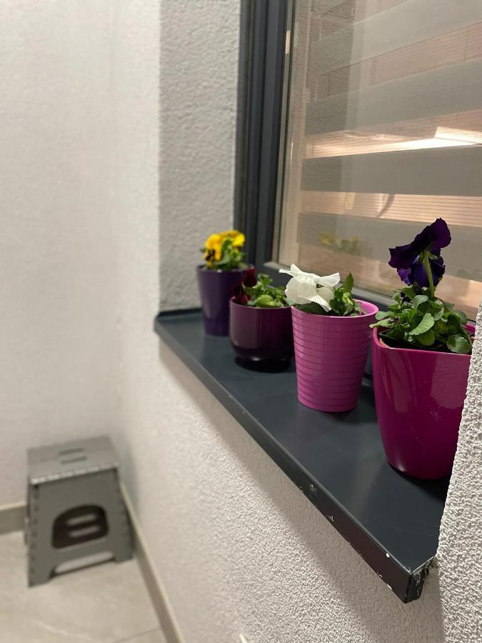 Apartman Mik 노비사드 외부 사진